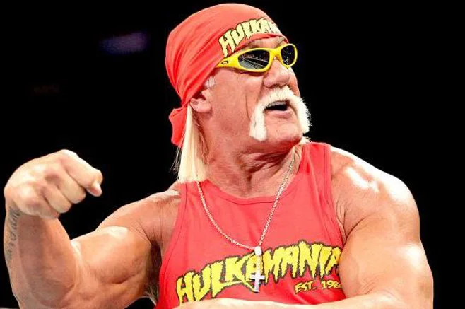 hulk hogan hulk hogan